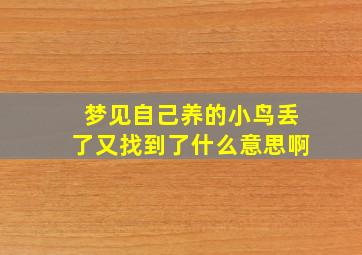 梦见自己养的小鸟丢了又找到了什么意思啊