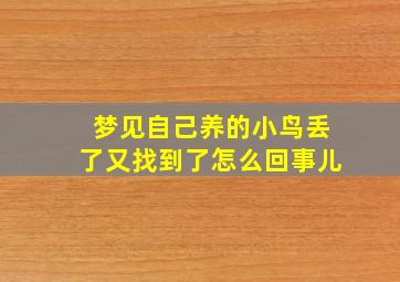 梦见自己养的小鸟丢了又找到了怎么回事儿