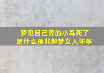 梦见自己养的小鸟死了是什么预兆解梦女人怀孕