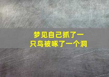 梦见自己抓了一只鸟被啄了一个洞