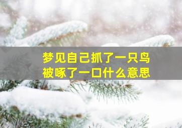 梦见自己抓了一只鸟被啄了一口什么意思