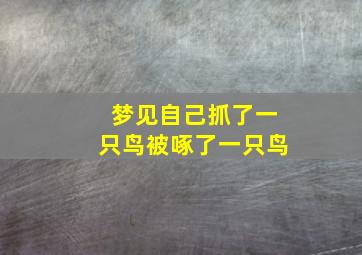 梦见自己抓了一只鸟被啄了一只鸟