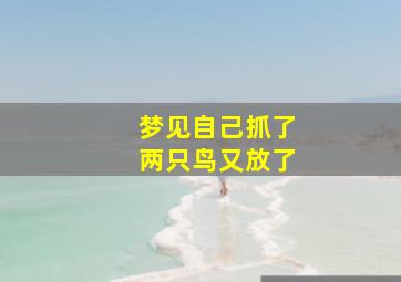 梦见自己抓了两只鸟又放了