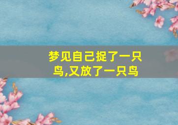 梦见自己捉了一只鸟,又放了一只鸟