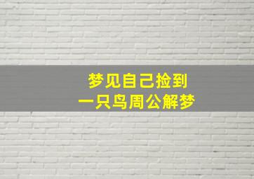 梦见自己捡到一只鸟周公解梦