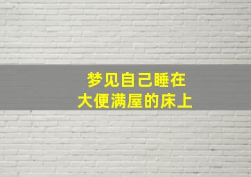 梦见自己睡在大便满屋的床上