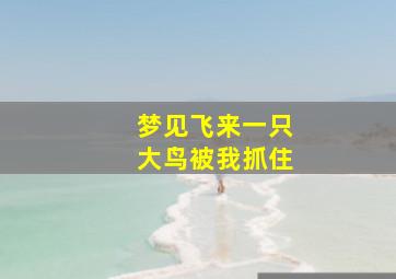 梦见飞来一只大鸟被我抓住