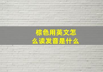 棕色用英文怎么读发音是什么