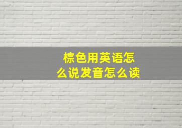 棕色用英语怎么说发音怎么读