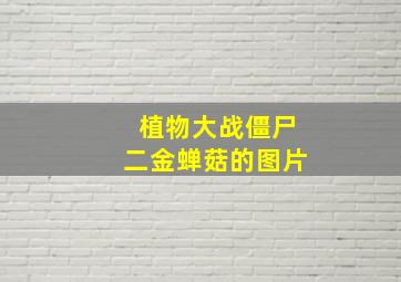 植物大战僵尸二金蝉菇的图片