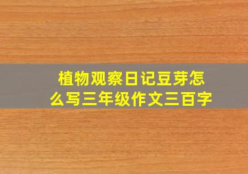 植物观察日记豆芽怎么写三年级作文三百字