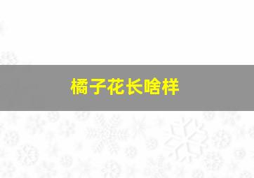 橘子花长啥样