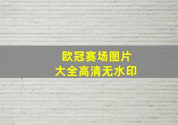 欧冠赛场图片大全高清无水印