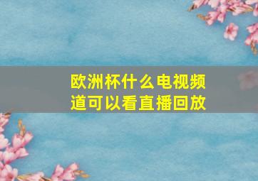 欧洲杯什么电视频道可以看直播回放