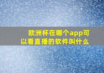 欧洲杯在哪个app可以看直播的软件叫什么