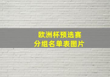 欧洲杯预选赛分组名单表图片