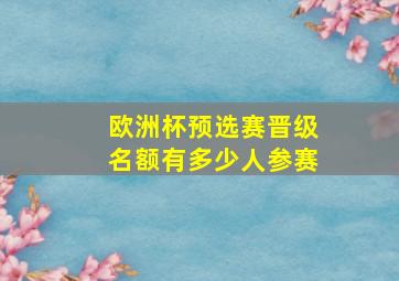 欧洲杯预选赛晋级名额有多少人参赛