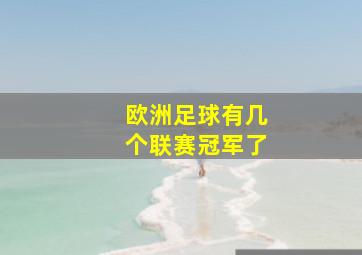 欧洲足球有几个联赛冠军了