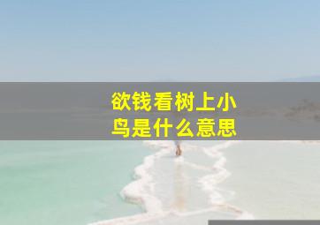 欲钱看树上小鸟是什么意思