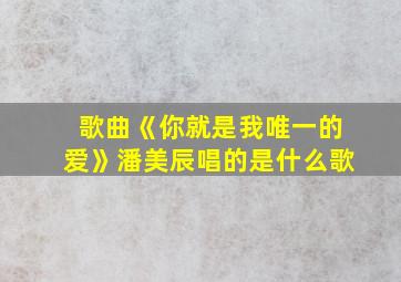 歌曲《你就是我唯一的爱》潘美辰唱的是什么歌