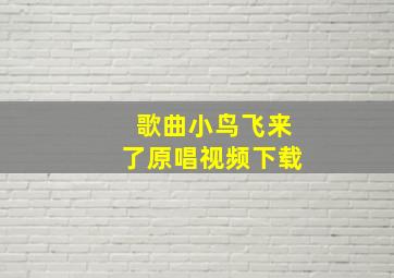 歌曲小鸟飞来了原唱视频下载