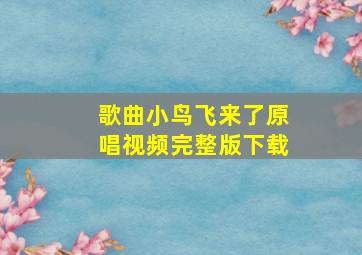 歌曲小鸟飞来了原唱视频完整版下载