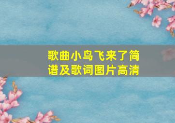 歌曲小鸟飞来了简谱及歌词图片高清