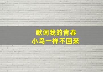 歌词我的青春小鸟一样不回来