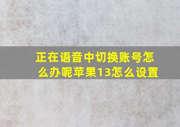 正在语音中切换账号怎么办呢苹果13怎么设置