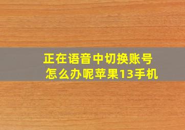 正在语音中切换账号怎么办呢苹果13手机