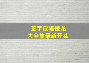 正字成语接龙大全集最新开头