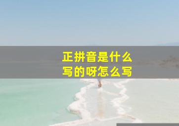 正拼音是什么写的呀怎么写