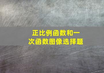 正比例函数和一次函数图像选择题