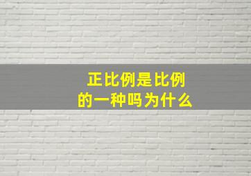 正比例是比例的一种吗为什么