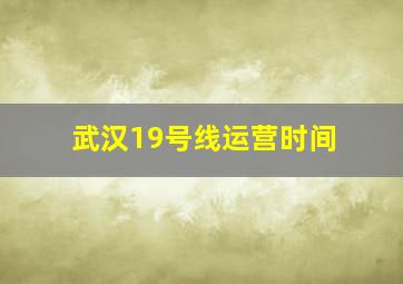 武汉19号线运营时间