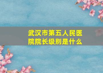 武汉市第五人民医院院长级别是什么