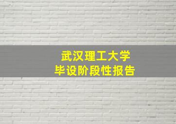 武汉理工大学毕设阶段性报告