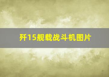 歼15舰载战斗机图片