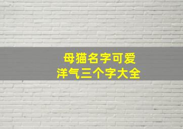 母猫名字可爱洋气三个字大全