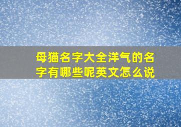 母猫名字大全洋气的名字有哪些呢英文怎么说