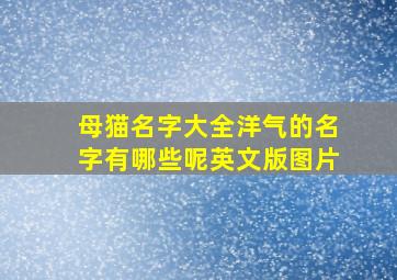 母猫名字大全洋气的名字有哪些呢英文版图片