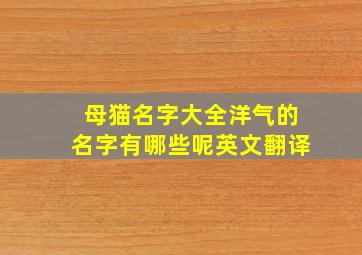 母猫名字大全洋气的名字有哪些呢英文翻译