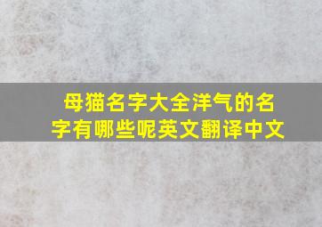 母猫名字大全洋气的名字有哪些呢英文翻译中文