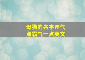 母猫的名字洋气点霸气一点英文