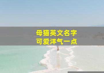 母猫英文名字可爱洋气一点