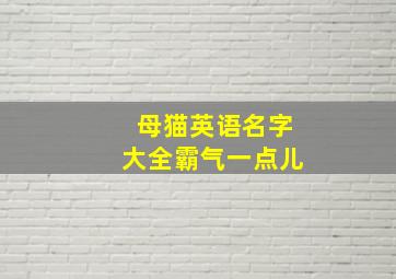 母猫英语名字大全霸气一点儿