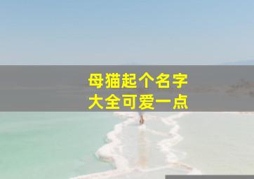 母猫起个名字大全可爱一点