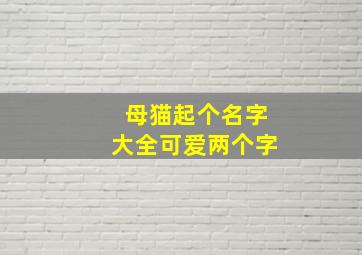 母猫起个名字大全可爱两个字