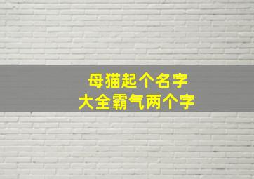 母猫起个名字大全霸气两个字