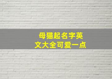 母猫起名字英文大全可爱一点